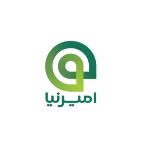 امیرنیا